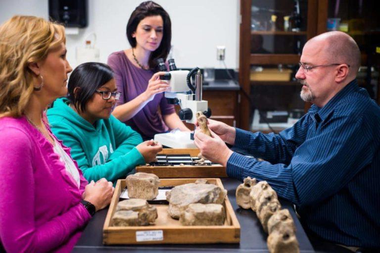 students in class looking at rocks